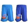 Billede af Shorts biler