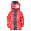 Picture of Raincoat