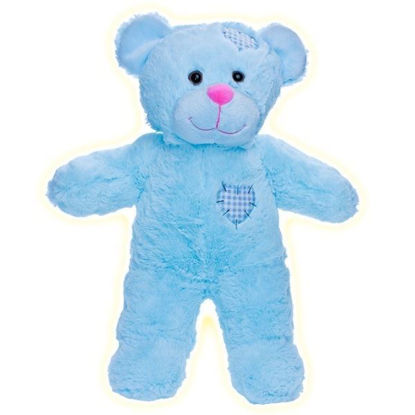 Picture of Blue Pawned Bear
