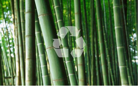 Bild för kategori Bambustrumpor